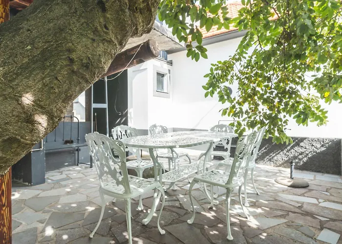 Paixao By Atlantic *